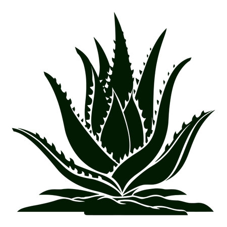Engraving illustration of an aloe vera plant showcasing detailed leaves. Ideal for botanical designs, wellness themes, and nature-inspired art projects.のイラスト素材