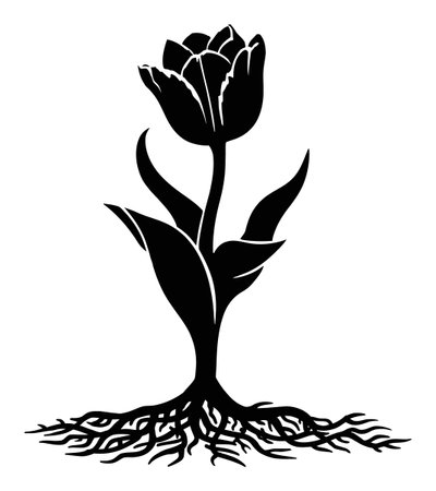 A beautiful black and white engraving of a tulip illustrating its delicate petals and intricate roots, perfect for botanical art lovers and designers.のイラスト素材