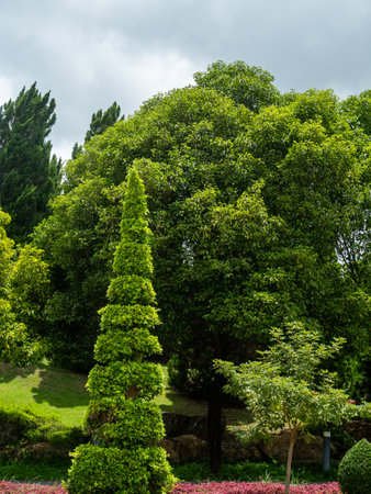 Shady central parks and trees provide shade and are ideal for exercising and relaxing during the holidays.の写真素材