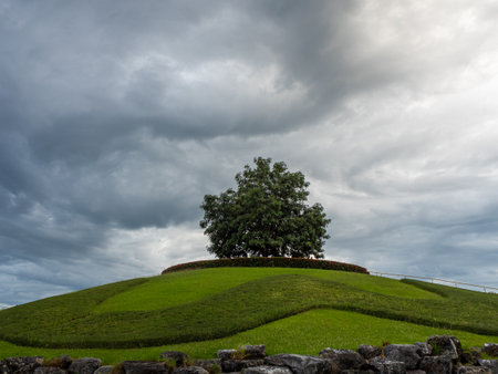 Lonely tree on a high hill, blue sky background.