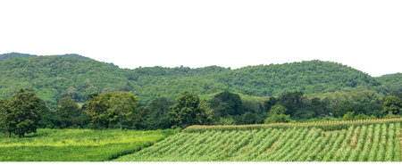 Isolated Mountain on white background with clipping path and alpha channel, high resolution.の写真素材