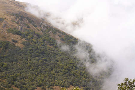 wild hanging woods in the fog, moutains betwen Sisyan and Tatev, Armenia, august