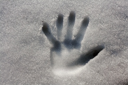 Hands in the snowの写真素材