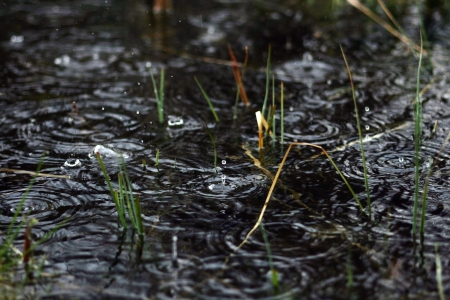 A heavy rain showerの写真素材