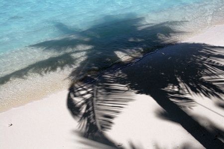 The shadow of a palm tree on the white sands of the Maldivesの写真素材