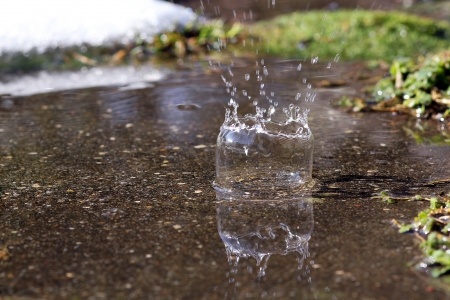 A raindrop forms a bellの写真素材