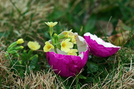 An unusual Easter egg with flowering contentの写真素材