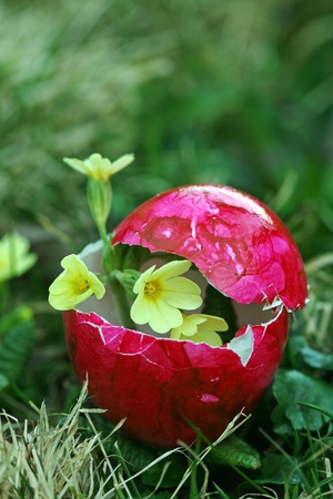 An unusual Easter egg with flowering content