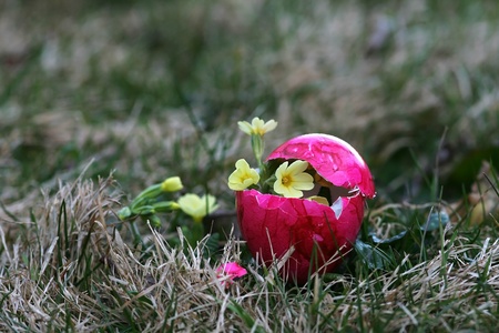 An unusual Easter egg with flowering content
