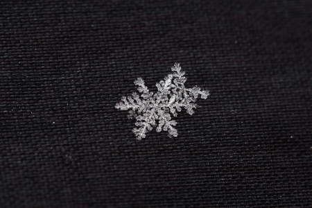 Beautiful delicate snowflakesの写真素材