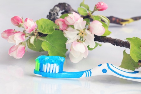 tooth brushの写真素材