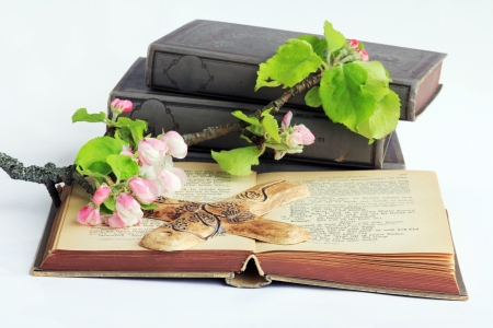 bibleの写真素材