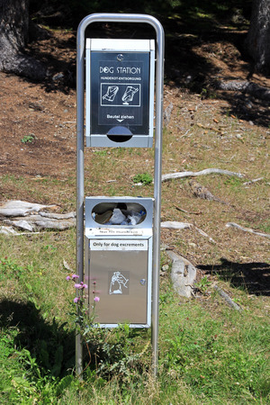 Dog Stationの写真素材