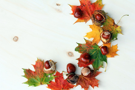 colorful autumn