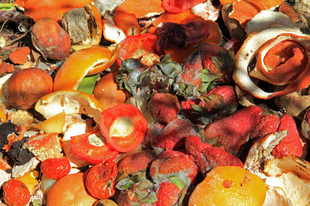 A rubbish heap with kitchen waste. A compost heap with waste from the kitchen