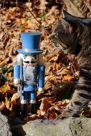 The Nutcracker and the curious cat. The wooden toys and to interested catの写真素材
