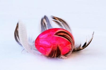 An Easter nest of feathers - a pink Easter egg with feathersの写真素材