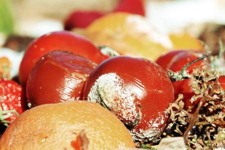 .Rotten Fruit and vegetables on a garbage heapの写真素材