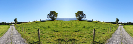 Which way should we go? Summer landscape with path