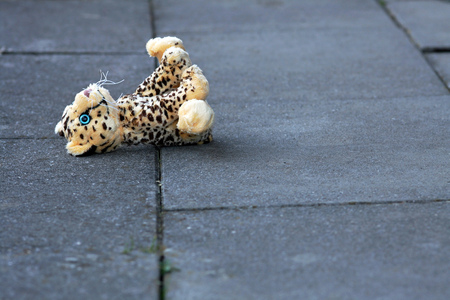 A lost soft toy on the ground. The forgotten toysの写真素材