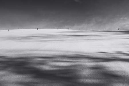 Snowy cattle fence in light and shade in black and white. Winter landscape in black and whiteの写真素材