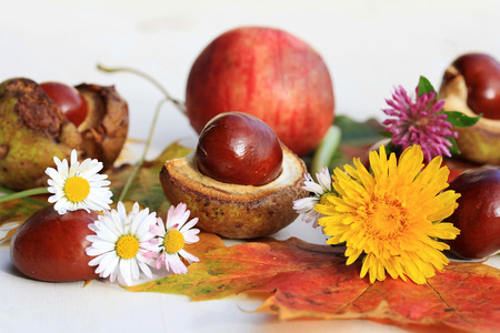 A colorful autumn with flowers, chestnuts and apples