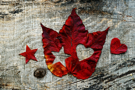 Love for autumn. Snowflakes in autumn. A red autumn leaf with a heart and snowflake.の写真素材