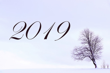 Turn of the year to 2019. Single tree on a snow landscape in purple with 2019の写真素材