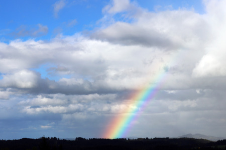 A beautiful colorful rainbow in the skyの写真素材
