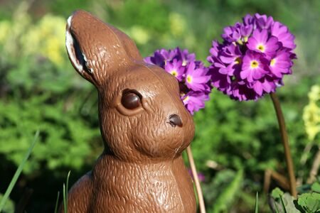 A chocolate Easter bunny in the garden at Easter