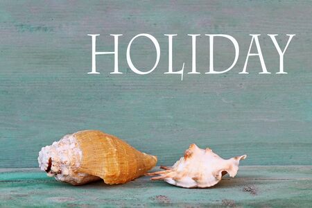 Blue wooden background with two shells from the sea. Graphic photo for vacationの写真素材