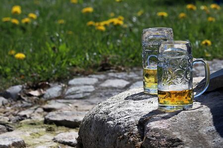 Two Bavarian beer mugs with a small remaining amount of beer stand on a stone in springの写真素材