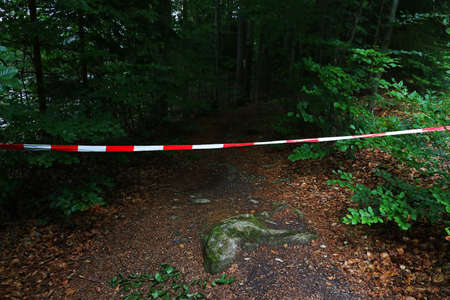 A forest road is closed with a red and white barrier tapeの写真素材