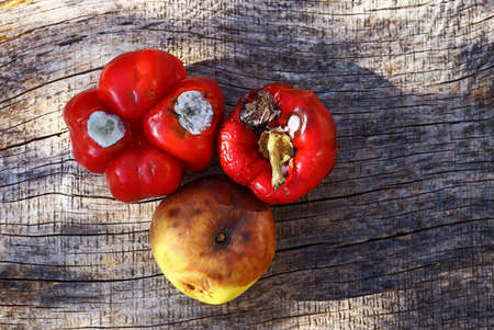 Old moldy peppers and a rotting appleの写真素材
