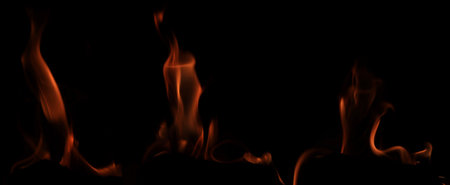 Various flames from a fire against a black background