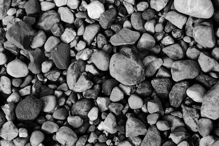 Background of pebbles of different sizes in black and whiteの写真素材