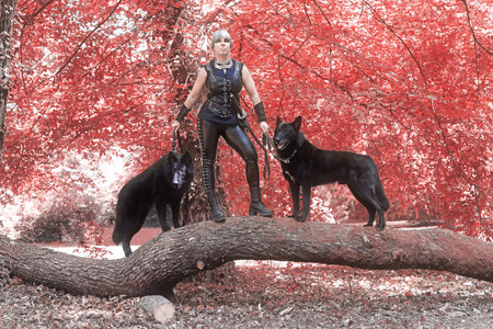 A woman dressed in black with two black dogs on a tree trunkの写真素材