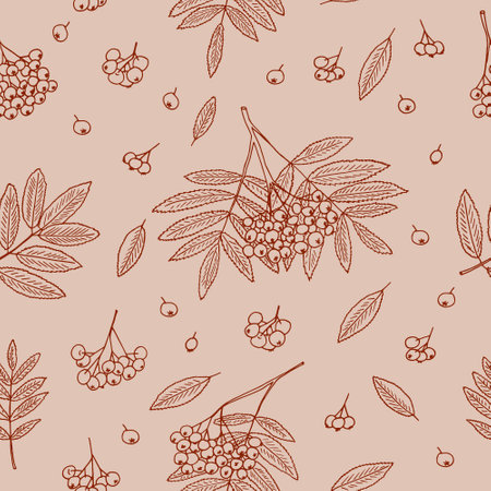 rowan berries, bunches and leaves seamless pattern hand drawn in doodle style. textile, wallpaper, background, wrapping paper, digital paper.のイラスト素材