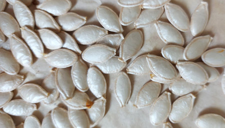 pumpkin seeds are on the table. natural patterns. monochrome background. foodの写真素材