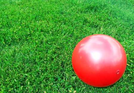 red ball lies on the green grass. Summer children's games in the fresh air. Place for text. space for text. copyspace. sport competitionの写真素材