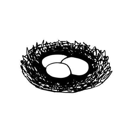 eggs in the nest icon, sticker. sketch hand drawn doodle style. minimalism, monochrome. spring, easter birdsのイラスト素材
