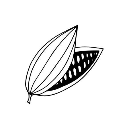 cocoa bean hand drawn vector doodle. single element for design icon, label, menu, sticker. food plantのイラスト素材