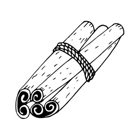 cinnamon sticks tied with rope hand drawn vector doodle. single element for design icon, label, menu, sticker. food, seasonings spicesのイラスト素材