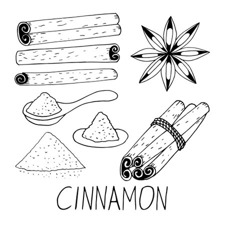 cinnamon set hand drawn vector doodle. sticks, powder, lettering, spoon collection of elements for design icon, label, menu, sticker. food, seasonings spicesのイラスト素材