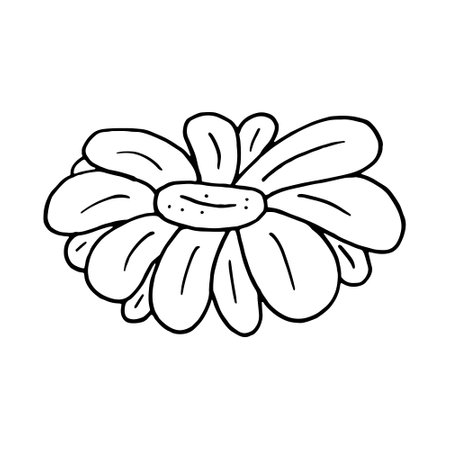 chamomile flower hand drawn in doodle style. sticker, icon, decor, medicinal herbsのイラスト素材