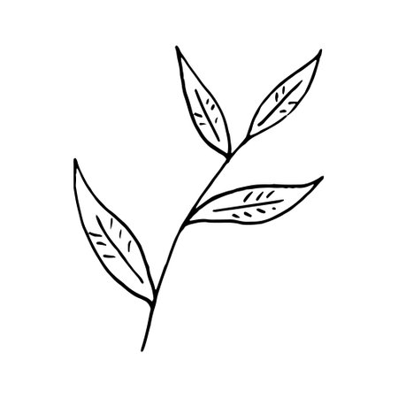 tea leaves hand drawn in doodle style. icon, sticker.のイラスト素材