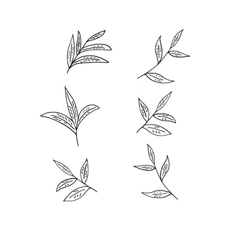 tea leaves set hand drawn in doodle style. vector, minimalism, monochrome, scandinavian. icon stickerのイラスト素材