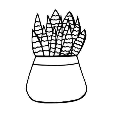 houseplant in a pot icon hand drawn. vector, minimalism, scandinavian, monochrome, nordic. flower sticker plantのイラスト素材
