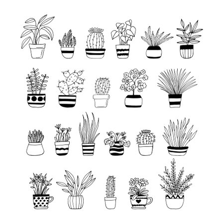 houseplants in pots set icon hand drawn. vector, minimalism, scandinavian, monochrome, nordic. flower sticker plantのイラスト素材