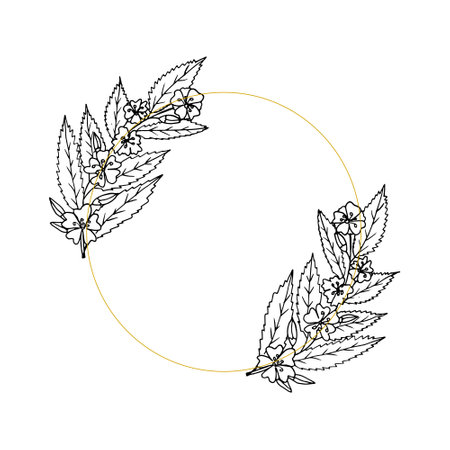 flowers round frame, border, card with place for text. sketch hand drawn doodle style. monochrome minimalism. spring, bloom, flowers, summer, weddingのイラスト素材
